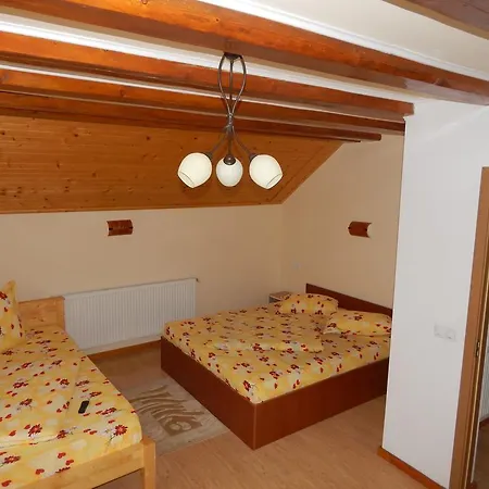 Willa Casa Silvia Gîrda de Sus